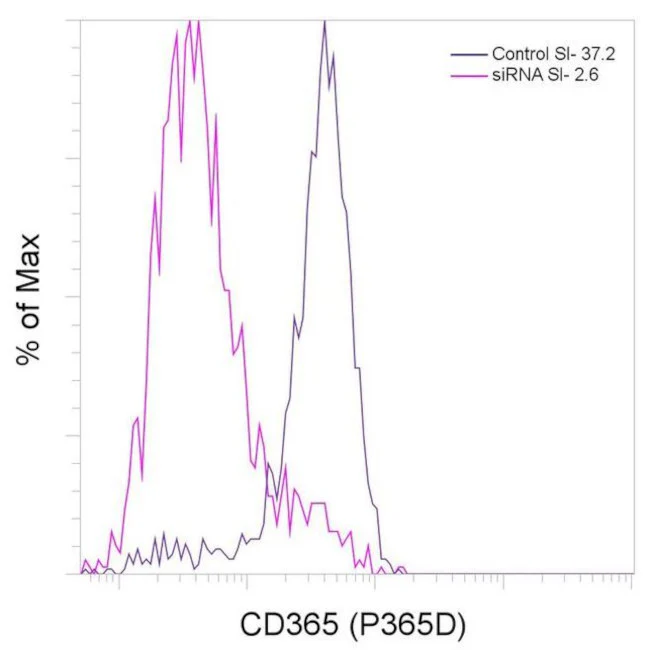 CD365 (Tim-1) Recombinant Rabbit Monoclonal Antibody (P365D), Alexa Fluor 647, eBioscience