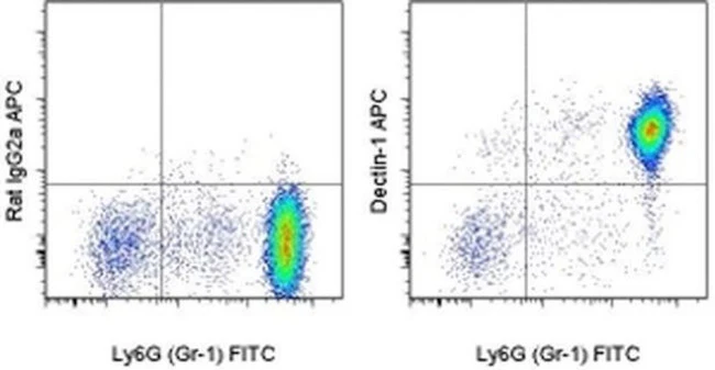 CD369 (Clec7a, Dectin-1) Monoclonal Antibody (bg1fpj), APC, eBioscience