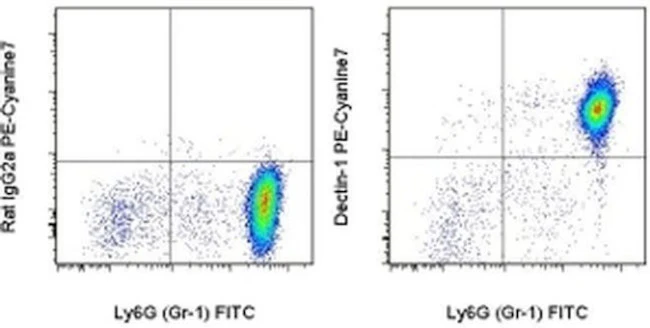 CD369 (Clec7a, Dectin-1) Monoclonal Antibody (bg1fpj), PE-Cyanine7, eBioscience