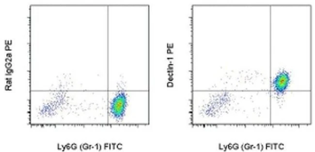 CD369 (Clec7a, Dectin-1) Monoclonal Antibody (bg1fpj), PE, eBioscience