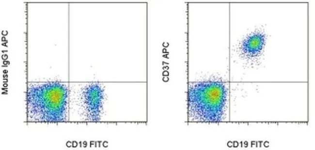 CD37 Monoclonal Antibody (MB-1), APC, eBioscience
