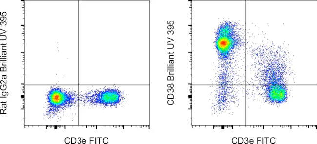 CD38 Monoclonal Antibody (90), Brilliant Ultra Violet™ 395