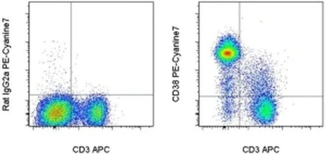 CD38 Monoclonal Antibody (90), PE-Cyanine7, eBioscience