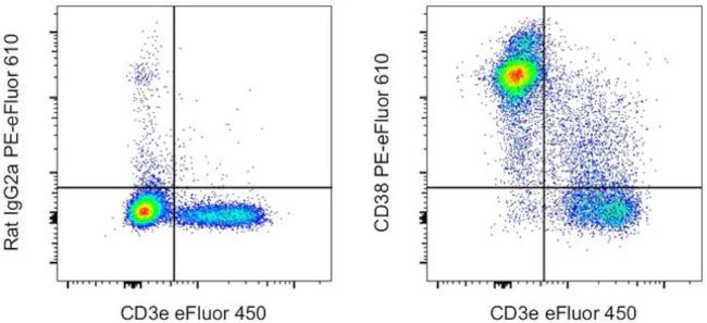 CD38 Monoclonal Antibody (90), PE-eFluor 610, eBioscience