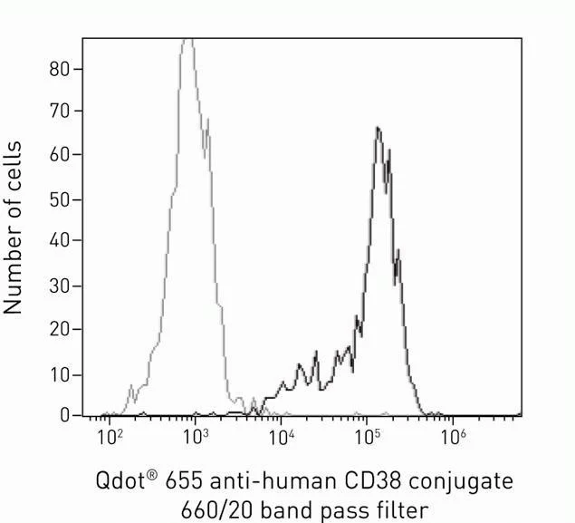 CD38 Monoclonal Antibody (HIT2), Qdot 655
