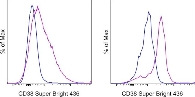 CD38 Monoclonal Antibody (HIT2), Super Bright 436, eBioscience