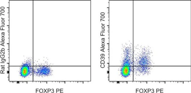 CD39 Monoclonal Antibody (24DMS1), Alexa Fluor 700, eBioscience