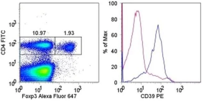 CD39 Monoclonal Antibody (24DMS1), PE, eBioscience