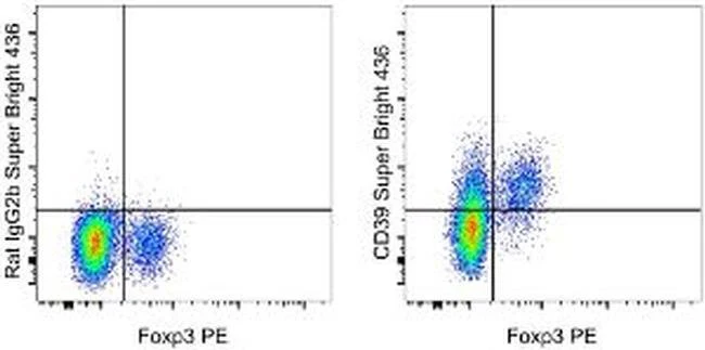 CD39 Monoclonal Antibody (24DMS1), Super Bright™ 436, eBioscience™