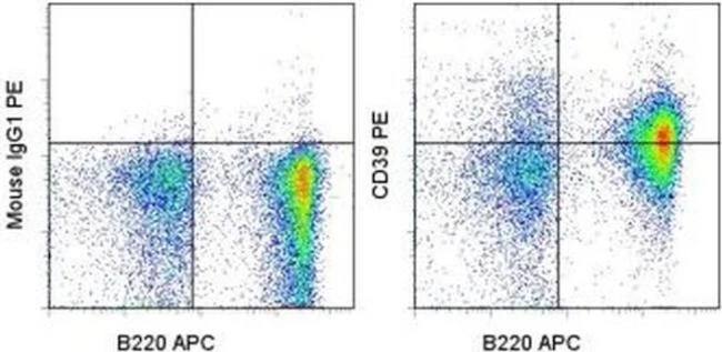CD39 Monoclonal Antibody (5F2), PE, eBioscience