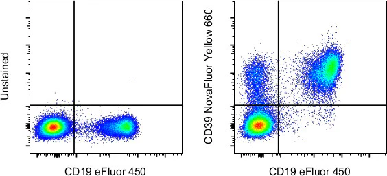 CD39 Monoclonal Antibody (eBioA1 (A1)), NovaFluor™ Yellow 660