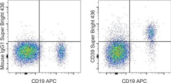 CD39 Monoclonal Antibody (eBioA1 (A1)), Super Bright 436, eBioscience