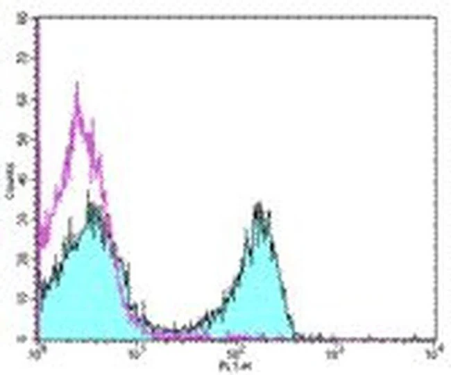 CD3e Monoclonal Antibody (145-2C11), eBioscience