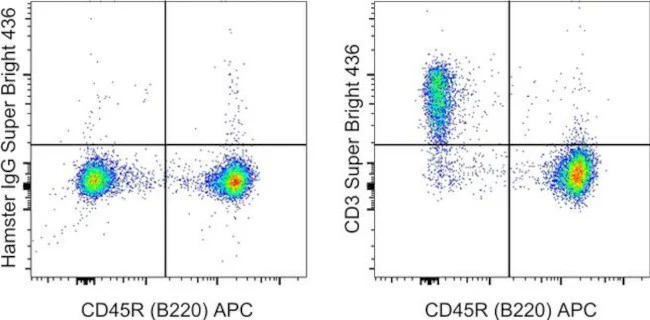 CD3e Monoclonal Antibody (145-2C11), Super Bright 436, eBioscience