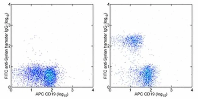 CD3e Monoclonal Antibody (eBio500A2 (500A2)), Functional Grade, eBioscience