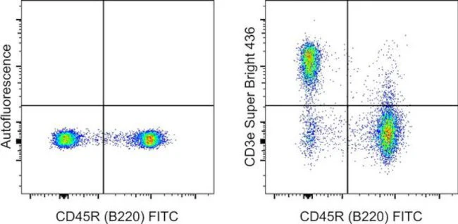 CD3e Monoclonal Antibody (eBio500A2 (500A2)), Super Bright 436, eBioscience