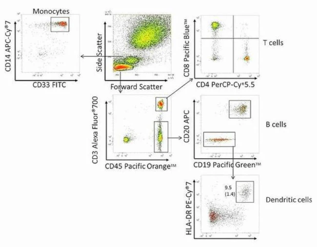 CD3e Monoclonal Antibody (UCHT1), Alexa Fluor 700