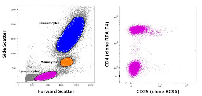 CD4/CD25 Antibody Cocktail, APC, FITC, eBioscience