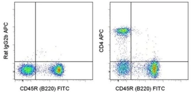 CD4 Monoclonal Antibody (GK1.5), APC, eBioscience