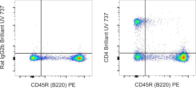 CD4 Monoclonal Antibody (GK1.5), Brilliant Ultra Violet™ 737