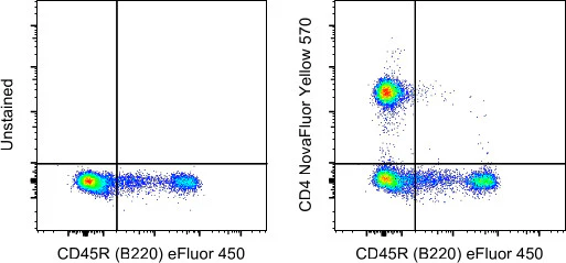 CD4 Monoclonal Antibody (GK1.5), NovaFluor Yellow 570, eBioscience
