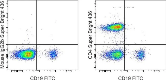 CD4 Monoclonal Antibody (OKT4 (OKT-4)), Super Bright™ 436