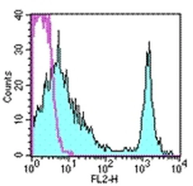 CD4 Monoclonal Antibody (RM4-5), PE, eBioscience