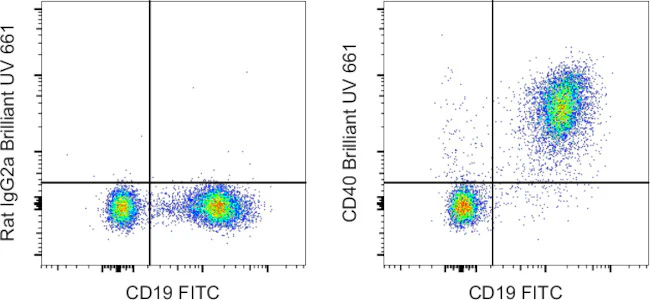 CD40 Monoclonal Antibody (1C10), Brilliant Ultra Violet 661, eBioscience