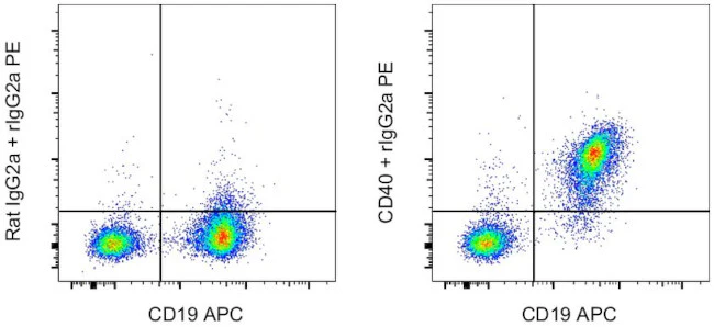 CD40 Monoclonal Antibody (1C10), Functional Grade, eBioscience