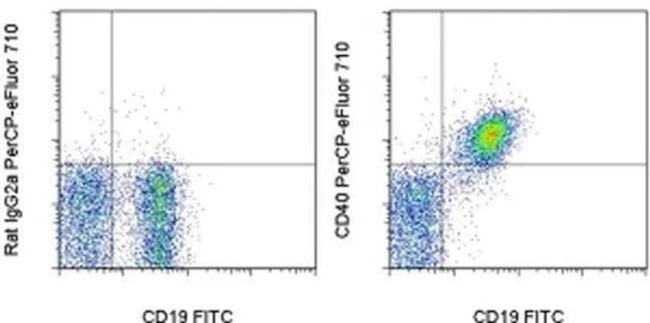 CD40 Monoclonal Antibody (1C10), PerCP-eFluor 710, eBioscience