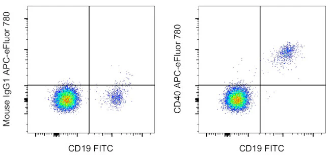 CD40 Monoclonal Antibody (5C3), APC-eFluor 780, eBioscience