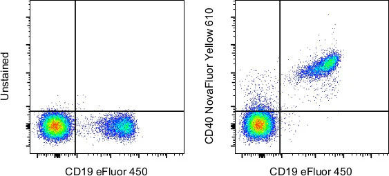 CD40 Monoclonal Antibody (5C3), NovaFluor™ Yellow 610