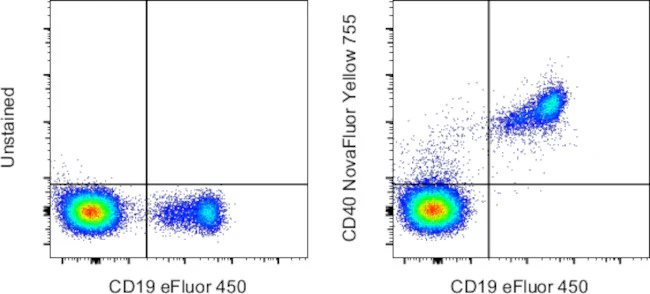 CD40 Monoclonal Antibody (5C3), NovaFluor™ Yellow 755