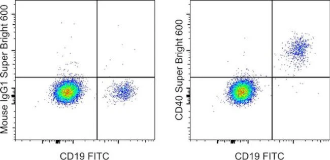 CD40 Monoclonal Antibody (5C3), Super Bright 600, eBioscience