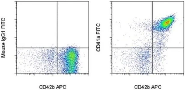 CD41a Monoclonal Antibody (HIP8), FITC, eBioscience