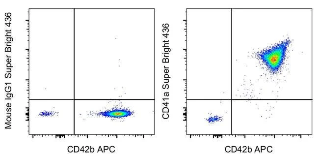 CD41a Monoclonal Antibody (HIP8), Super Bright™ 436, eBioscience™