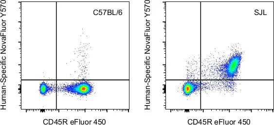 CD43 Monoclonal Antibody (eBio84-3C1 (84-3C1)), NovaFluor Yellow 570, eBioscience