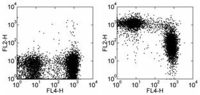 CD43 Monoclonal Antibody (eBioR2/60), Biotin, eBioscience