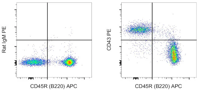 CD43 Monoclonal Antibody (eBioR2/60), PE, eBioscience