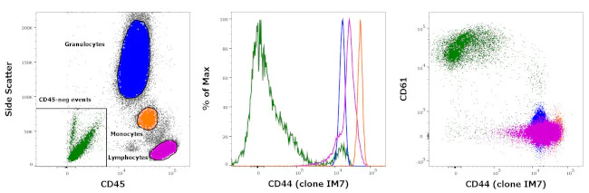 CD44 Monoclonal Antibody (IM7), APC-eFluor 780, eBioscience