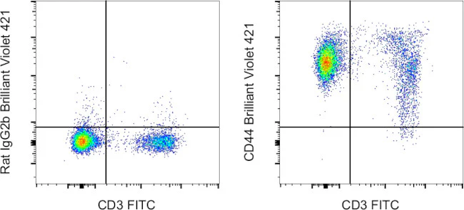 CD44 Monoclonal Antibody (IM7), Brilliant Violet 421, eBioscience