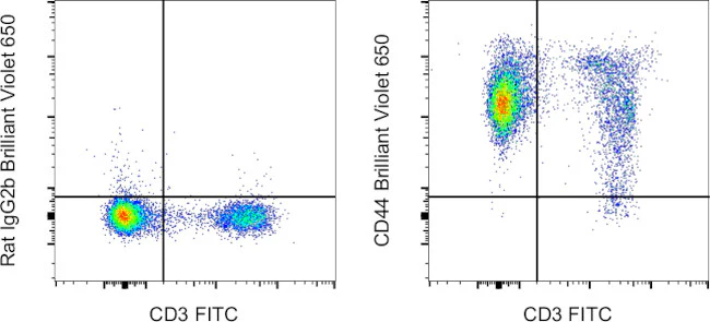 CD44 Monoclonal Antibody (IM7), Brilliant Violet™ 650, eBioscience™