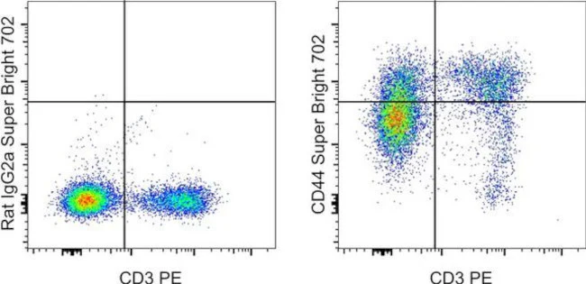 CD44 Monoclonal Antibody (IM7), Super Bright 702, eBioscience