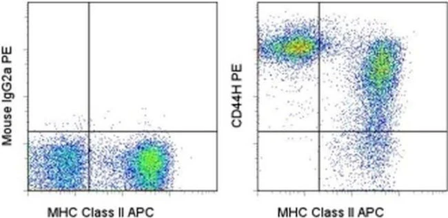 CD44H Monoclonal Antibody (OX49), PE, eBioscience