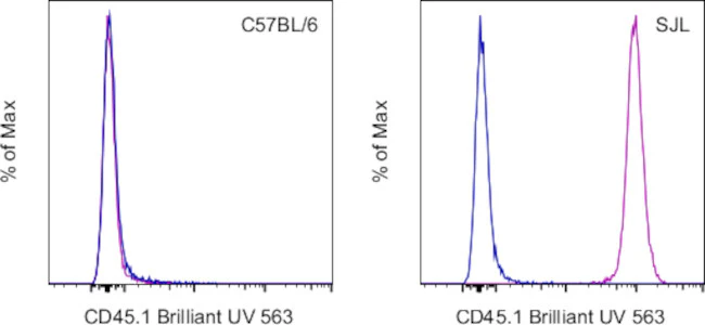 CD45.1 Monoclonal Antibody (A20), Brilliant Ultra Violet 563, eBioscience