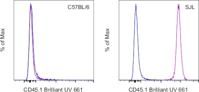 CD45.1 Monoclonal Antibody (A20), Brilliant Ultra Violet 661, eBioscience