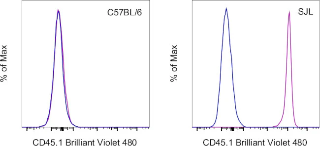 CD45.1 Monoclonal Antibody (A20), Brilliant Violet 480, eBioscience