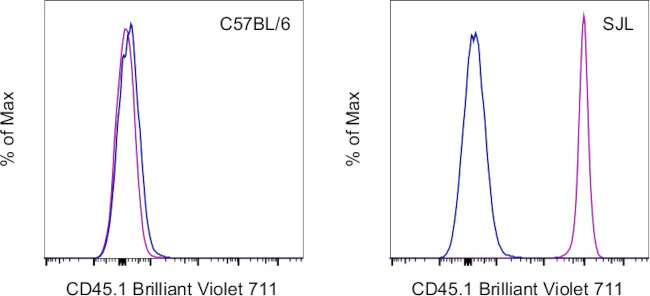 CD45.1 Monoclonal Antibody (A20), Brilliant Violet™ 711