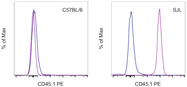 CD45.1 Monoclonal Antibody (A20), PE, eBioscience
