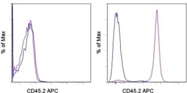 CD45.2 Monoclonal Antibody (104), APC, eBioscience